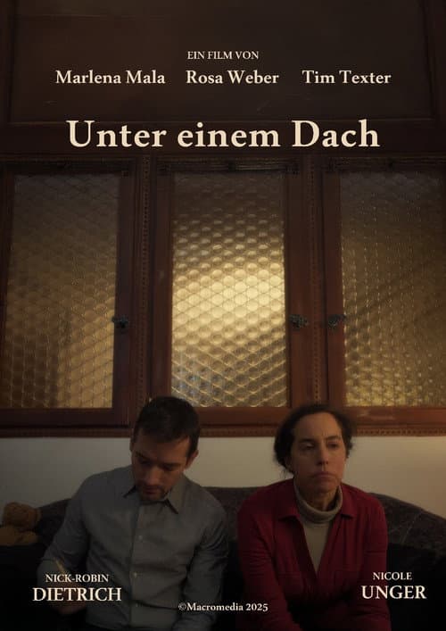 The House We Shared