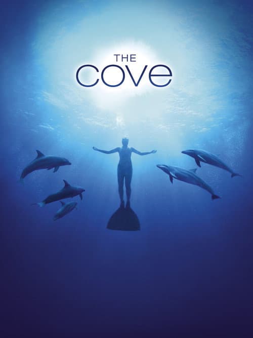 The Cove